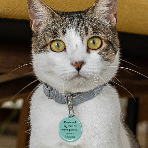 Cat, Kitten verloren label, Blauwgroen klein .88" Huisdierpenning