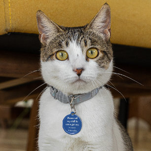 Cat, Kitten Verloren label, Kleine .88-in Pet ID T Huisdierpenning