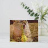 Cat krijgt dinosaur Briefkaart (Staand voorkant)