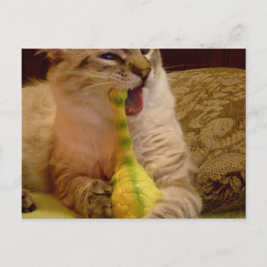 Cat krijgt dinosaur Briefkaart (Voorkant)