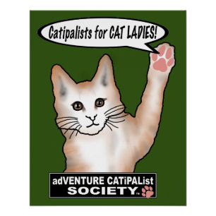 Cat Ladies Cat Perfect Poster