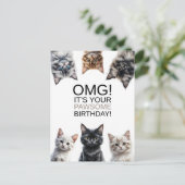 Cat Lady Birthday | OMG! Het is jouw geboortedag g Briefkaart (Staand voorkant)