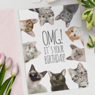 Cat Lady Birthday   OMG! Het is jouw geboortedag g Kaart