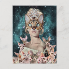 Cat Lady Briefkaart