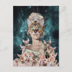 Cat Lady Briefkaart