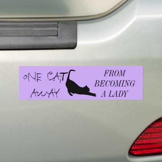 CAT LADY BUMPERSTICKER (Op auto)