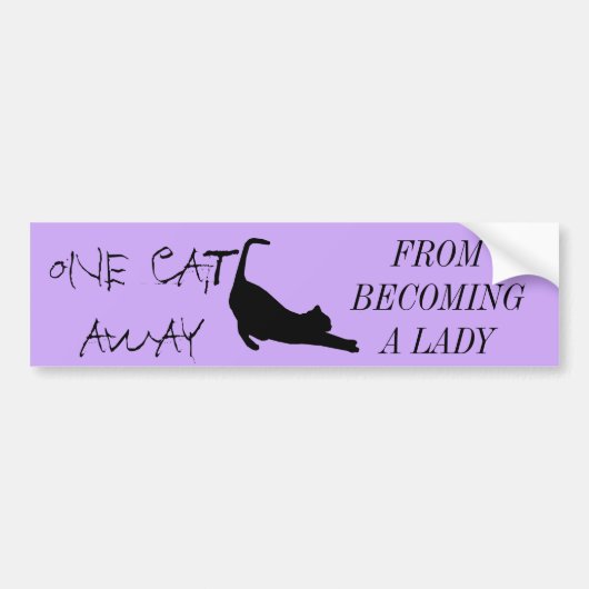 CAT LADY BUMPERSTICKER (Voorkant)