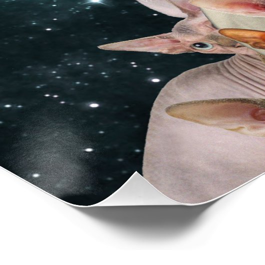 Cat Lady Perfect Poster (Hoek)