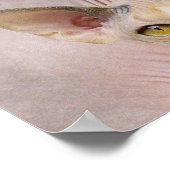 Cat Lady Poster (Hoek)