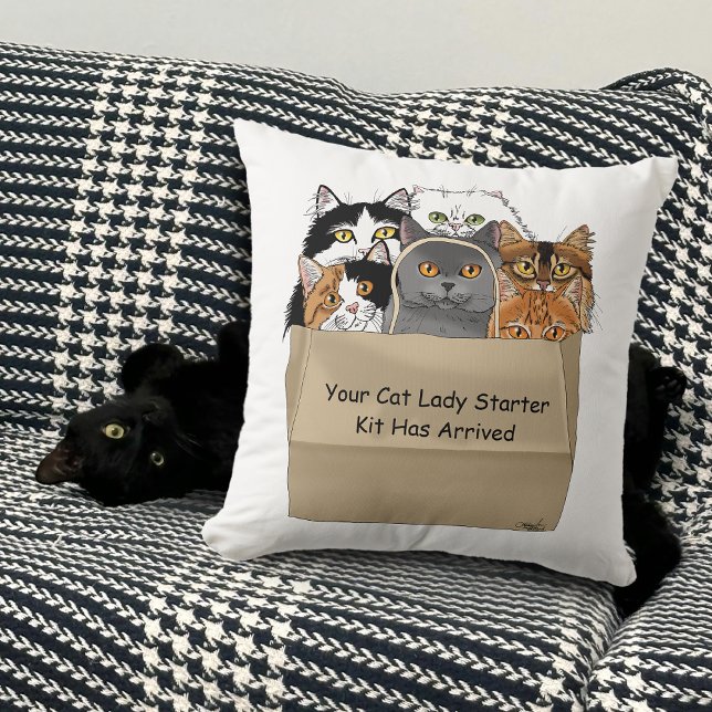 Cat Lady Starter Kit Kussen (Creator heeft geüpload)