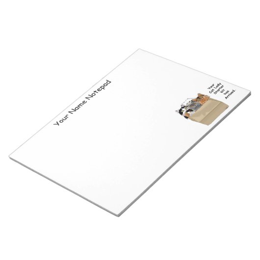 Cat Lady Starter Kit Notitieblok (Schuin)