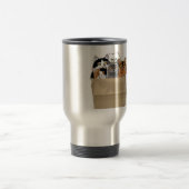 Cat Lady Starter Kit Reisbeker (Center)