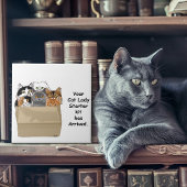 Cat Lady Starter Kit Tegeltje
