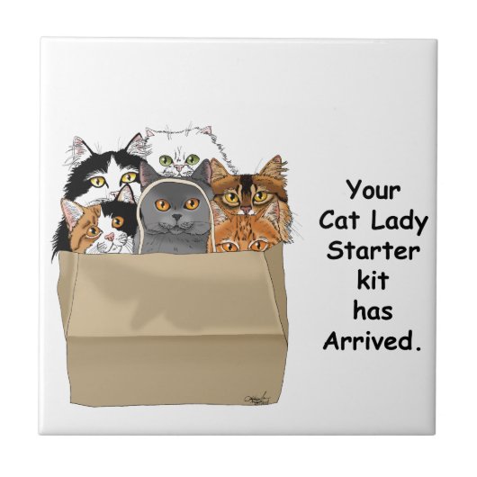 Cat Lady Starter Kit Tegeltje (Voorkant)