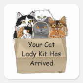 Cat Lady Starter Kit Vierkante Sticker (Voorkant)