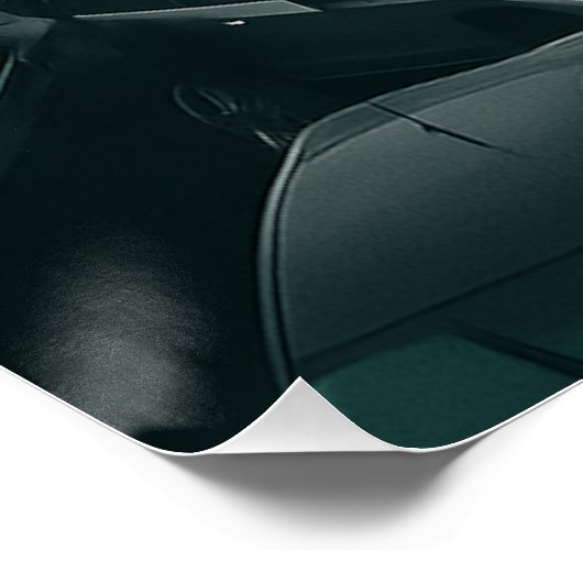 Cat Lean Management Perfect Poster (Hoek)