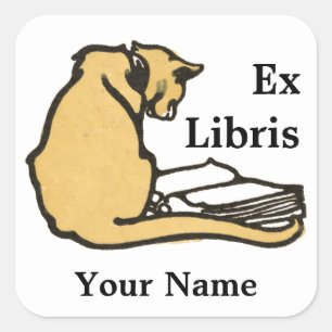  Cat Leesboek Ex Libris Sjabloon Vierkante Sticker