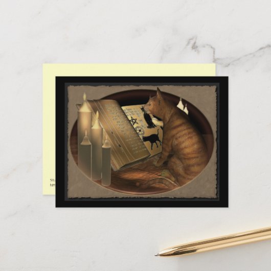 Cat Lessons bestuderen Briefkaart (Voorkant / Achterkant in situ)