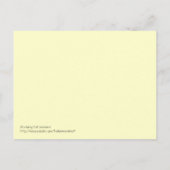 Cat Lessons bestuderen Briefkaart (Achterkant)