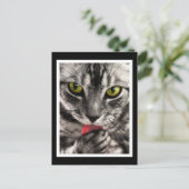 Cat Lick Briefkaart (Staand voorkant)