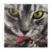 Cat Lick Tegeltje (Voorkant)