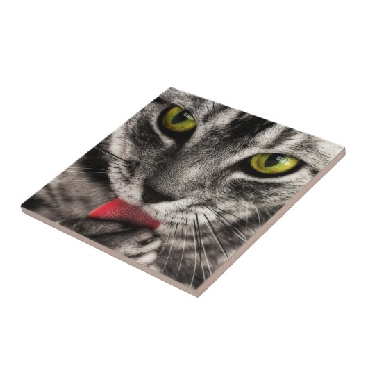 Cat Lick Tegeltje (Zijkant)