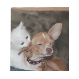 Cat licking Dog Notitieblok