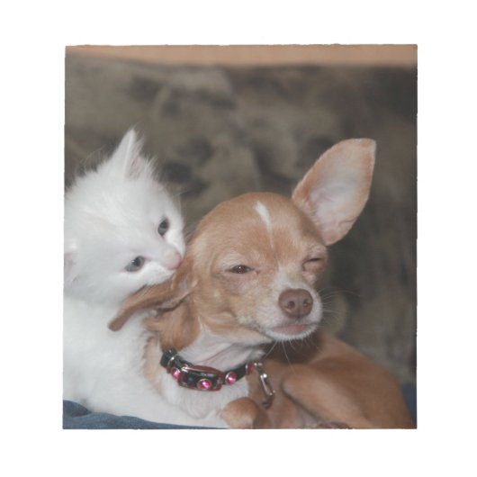 Cat licking Dog Notitieblok (Voorkant)