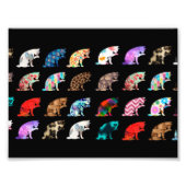 Cat Licking Pattern Foto Afdruk (Voorkant)