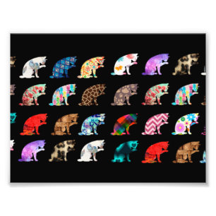 Cat Licking Pattern Foto Afdruk