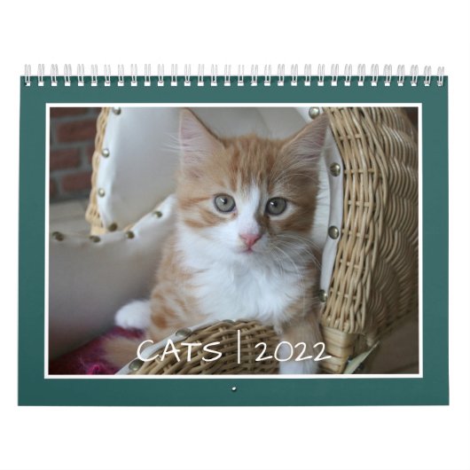 Cat Life-kalender Kalender (Hoes)