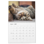 Cat Life-kalender Kalender (Mar 2027)