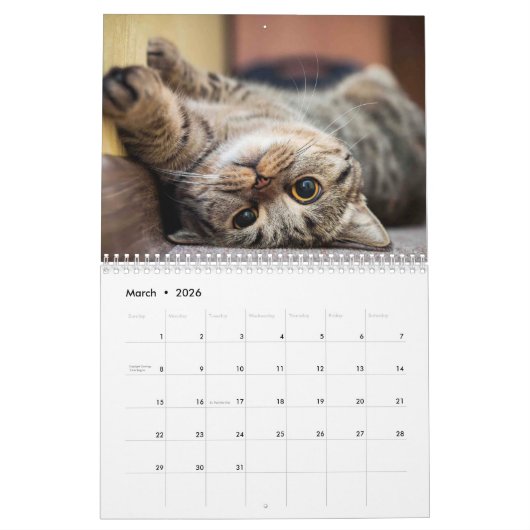 Cat Life-kalender Kalender (Mar 2026)