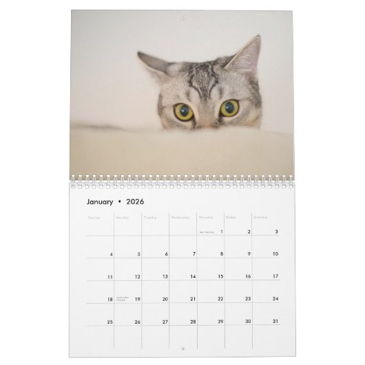 Cat Life-kalender Kalender (Jan 2026)