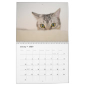 Cat Life-kalender Kalender (Jan 2027)