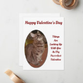 Cat Looking Up Digitale Afbeelding Valentijn Quote Notitiekaartje (Voorkant / Achterkant in situ)