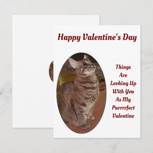 Cat Looking Up Digitale Afbeelding Valentijn Quote Notitiekaartje (Voorkant / Achterkant)