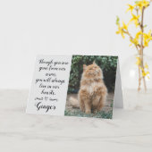 Cat Loss Sympathy Card Personalized Photo Pet Name Kaart (Gele Bloem)