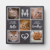 Cat Loss Unieke Pet Memorial Fotoplaat (Voorkant)