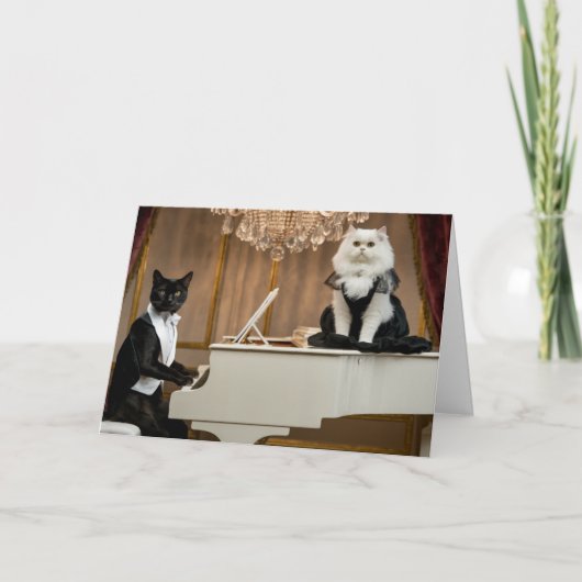 Cat Lounge Duo Kaart (Voorkant)