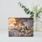 Cat lounging on couch with blanket and lamp feestdagenkaart (Staand voorkant)