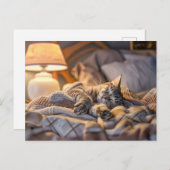 Cat lounging on couch with blanket and lamp feestdagenkaart (Voorkant / Achterkant)