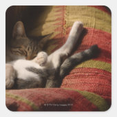 Cat Lounging Vierkante Sticker (Voorkant)