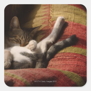 Cat Lounging Vierkante Sticker