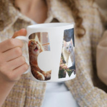 Cat Love Ik heb foto's uitgesneden