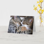 Cat Love Kaart (Gele Bloem)