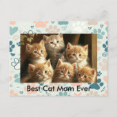  Cat Lover Briefkaart | Pastelpootafdruk (Voorkant)