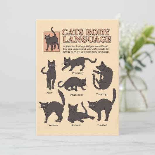 Cat Lover Cats Body Language Bedankkaart (Staand voorkant)