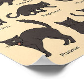 Cat Lover Cats Body Language Poster (Hoek)