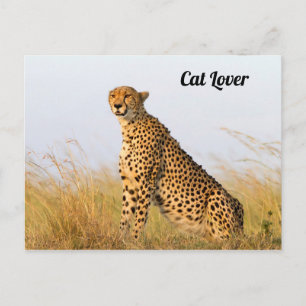 Cat lover cheetah foto briefkaart